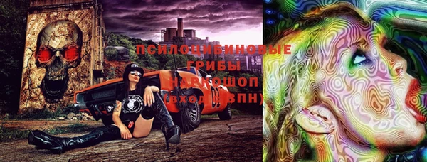 МДПВ Нефтегорск