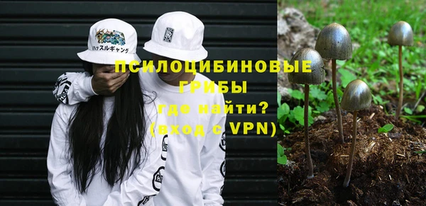 шишки Нефтекумск
