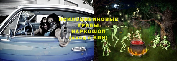 шишки Нефтекумск