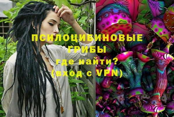 шишки Нефтекумск