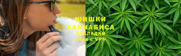 МДПВ Нефтегорск