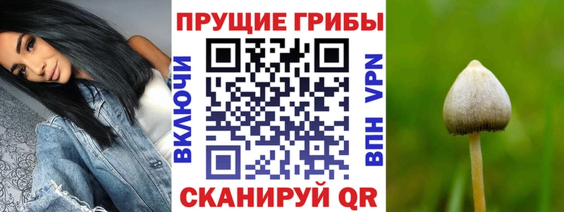 Галлюциногенные грибы Magic Shrooms  мега маркетплейс  Кемерово 